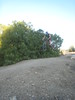 RobbinsPictures > My Riding photo