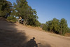 RobbinsPictures > Yorba Jumps photo