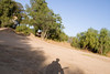 RobbinsPictures > Yorba Jumps photo